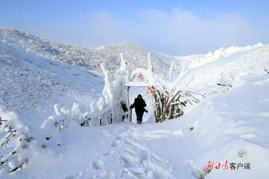 隴南十里不同天你的世界雪容融我的世界花盛開