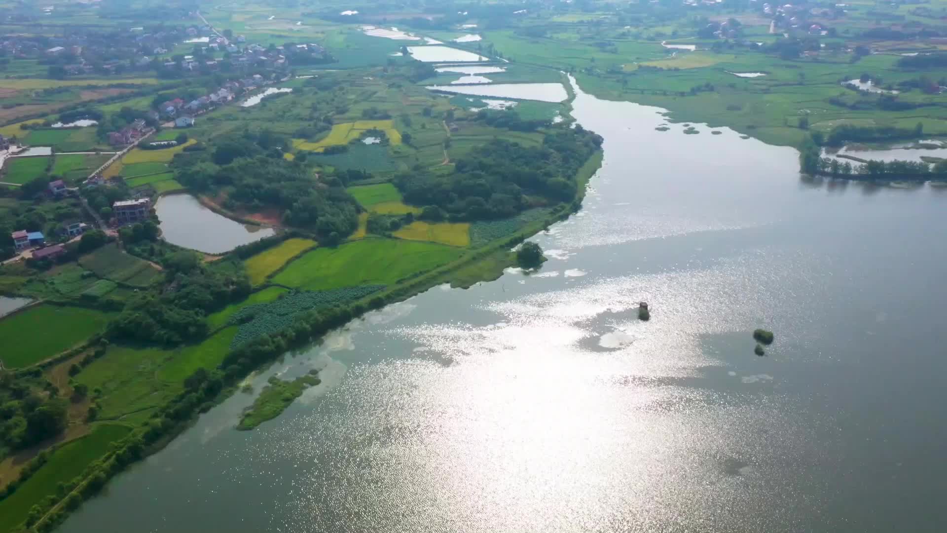 三塘镇:藠头掀起振兴浪