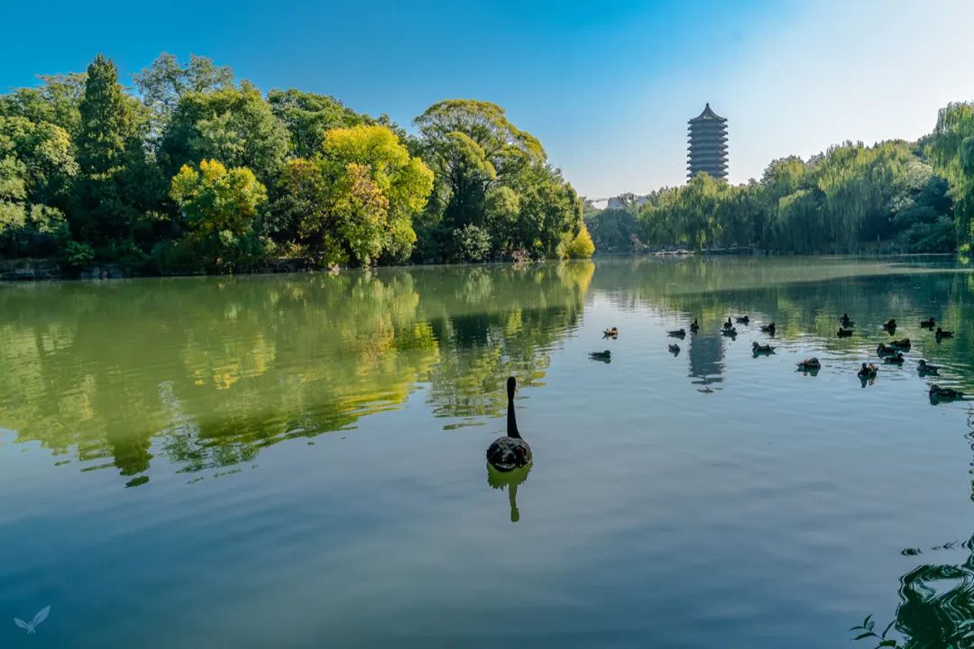 物理学教授眼中的北大,美不胜收!