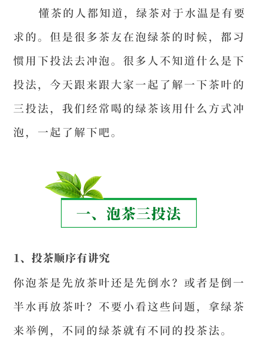 一杯鲜香甘甜的绿茶如何冲泡,牢记正确泡茶法!