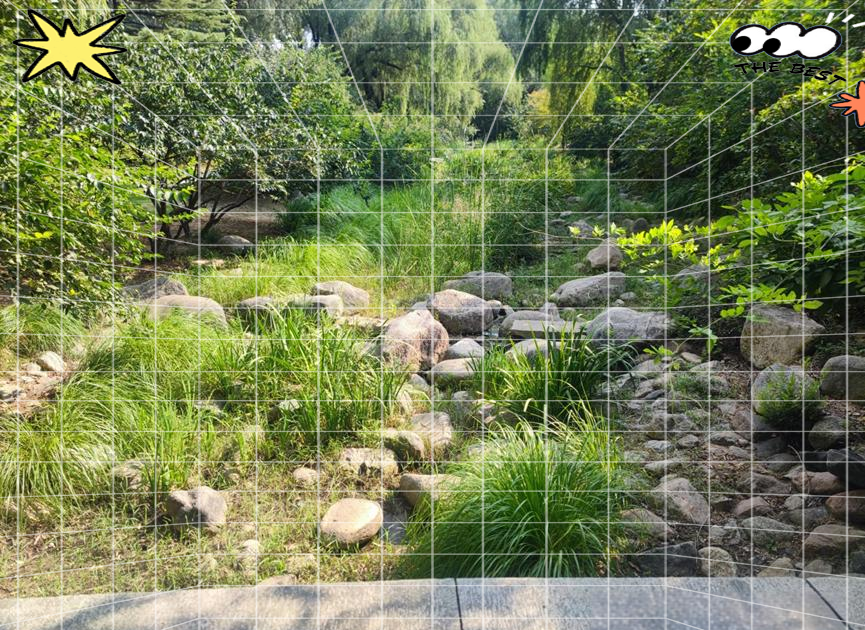 济南森林公园探秘:领略绿海秘境与多彩文化