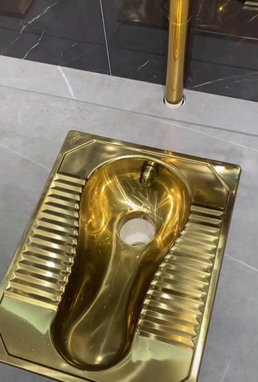 拉个屎都感觉自己是有钱人.