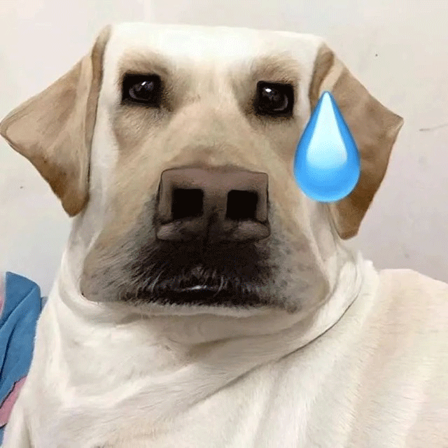 狗都不想听表情包gif
