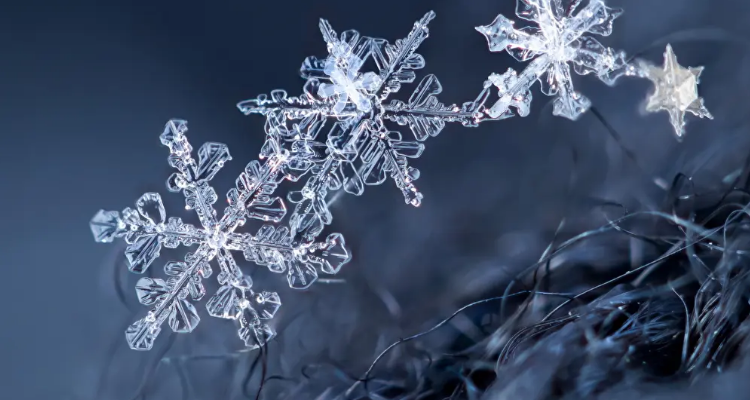 雪花像什么落在什么上（雪花像什么）-第1张图片-潮百科