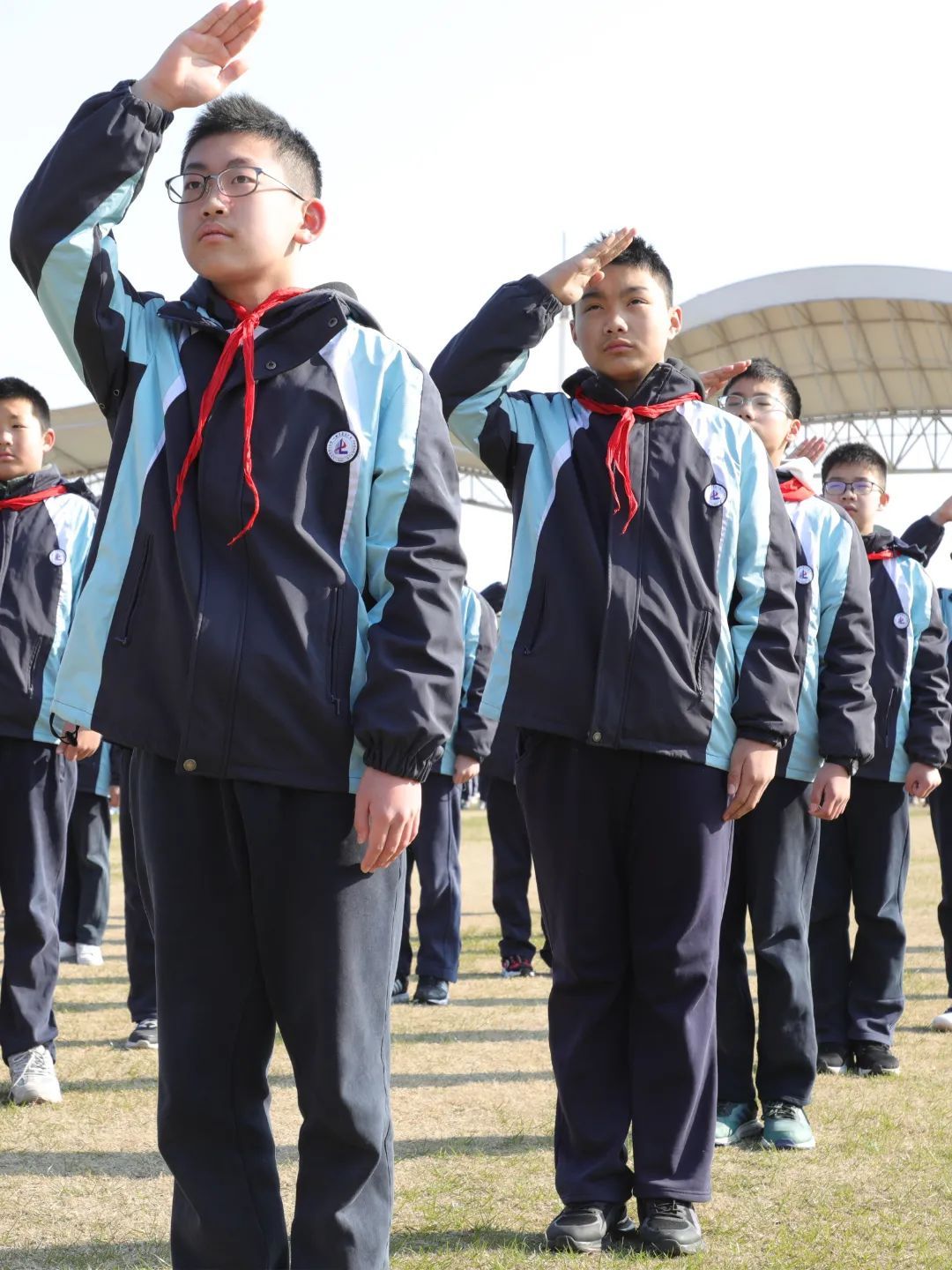 上海市罗店中学校徽图片