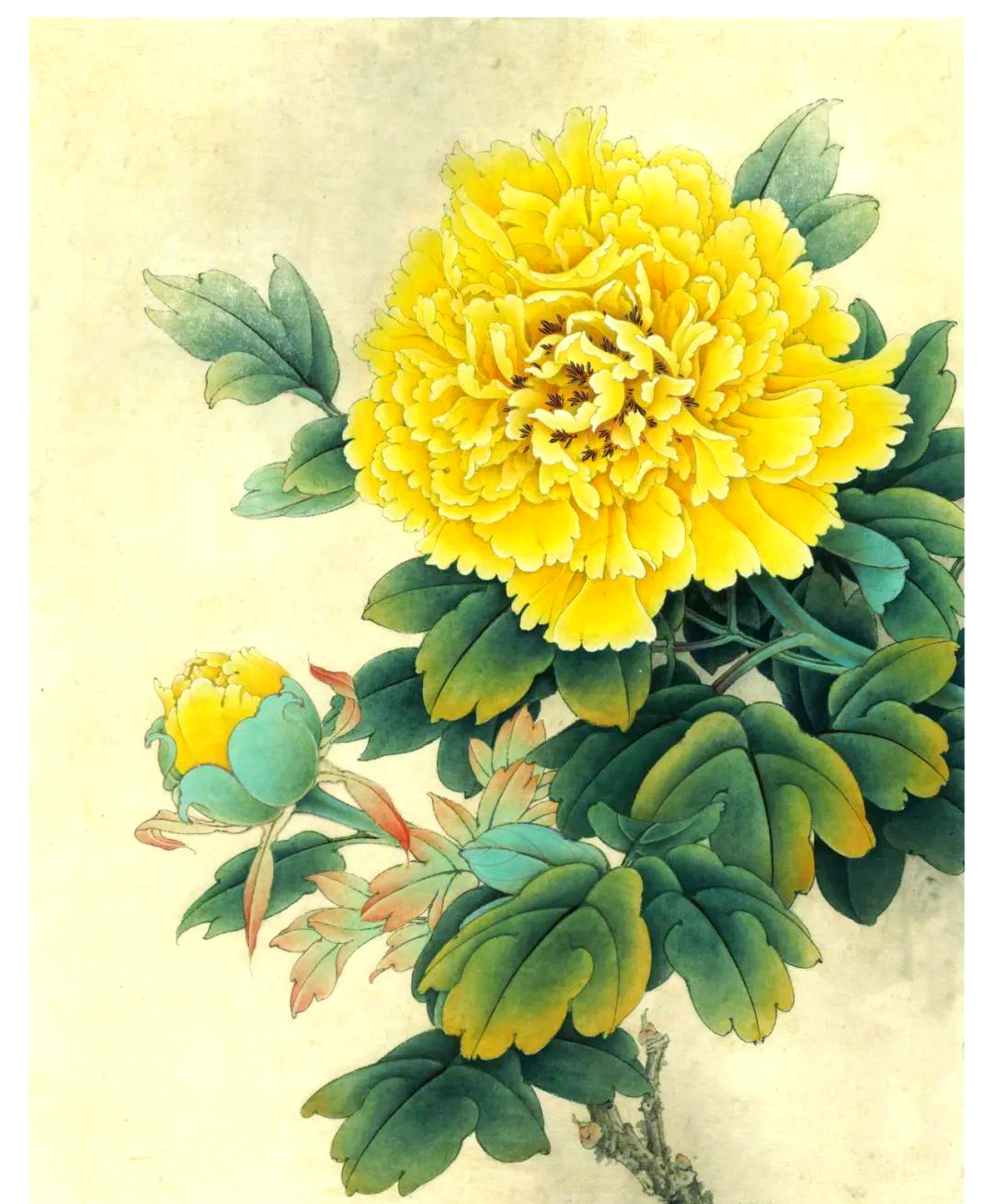 从底色到细节:绘制工笔牡丹名画《花魁姚黄》的深度解析