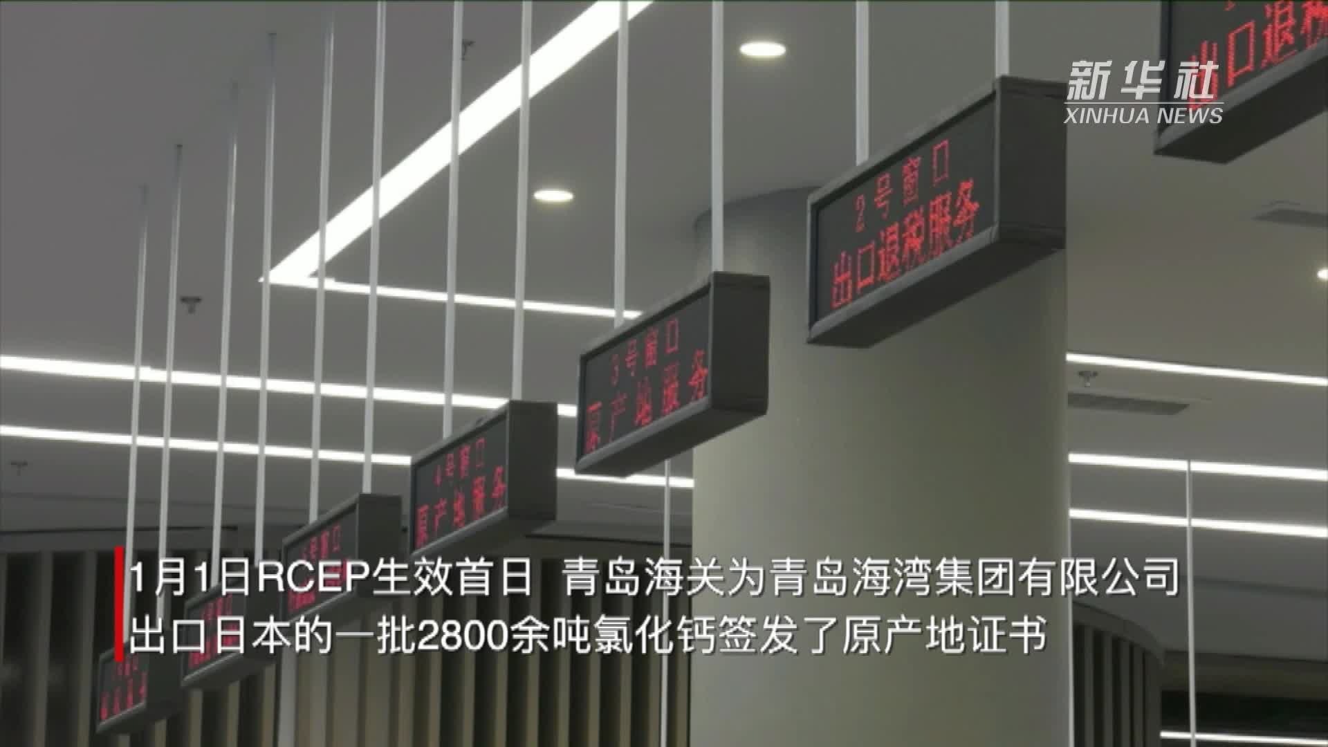 rcep生效中国外贸大省山东迎来新机遇