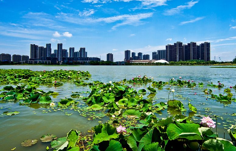 南京景点推荐,莲花湖公园 低音号语音导游