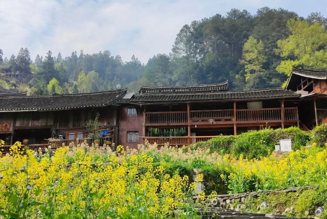 贵州气温搞满减春日美景不减反增