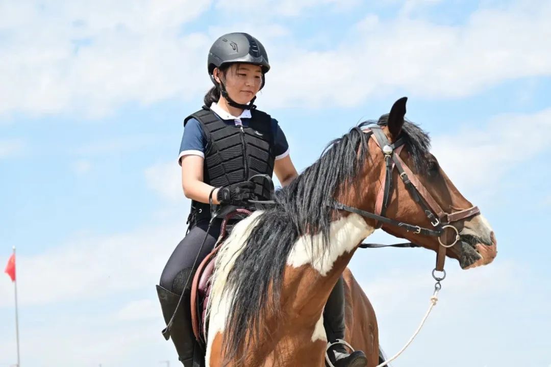 【玩转富蕴】看电影《小马鞭》,深入了解马背上的中华民族对传统文化