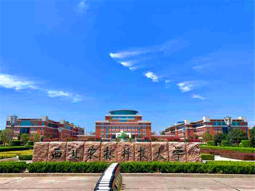 西安农业大学是211还是985