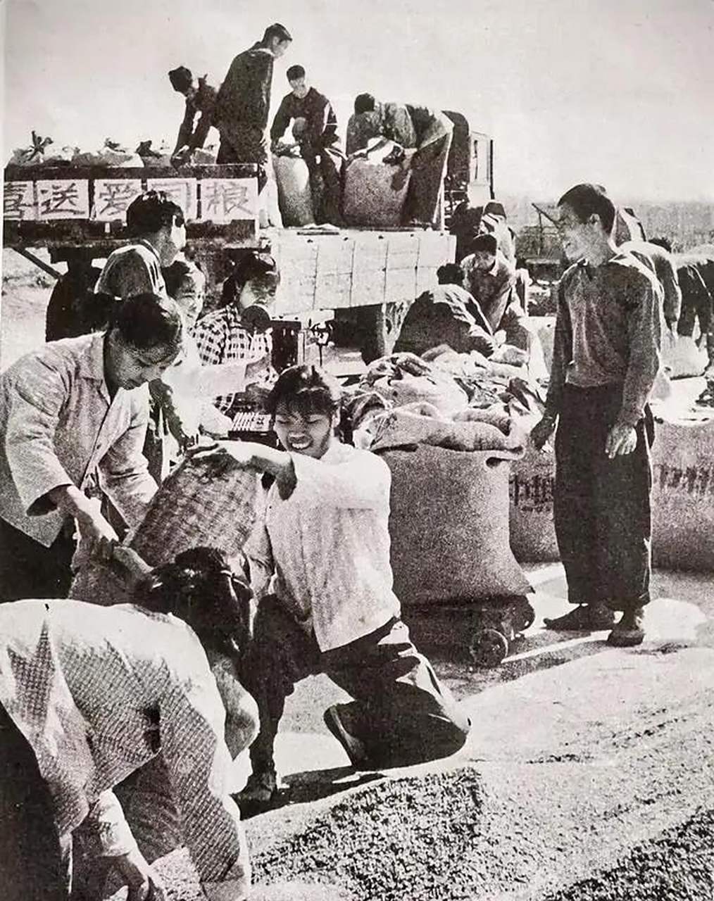 老照片|1960年代热火朝天的劳动场景