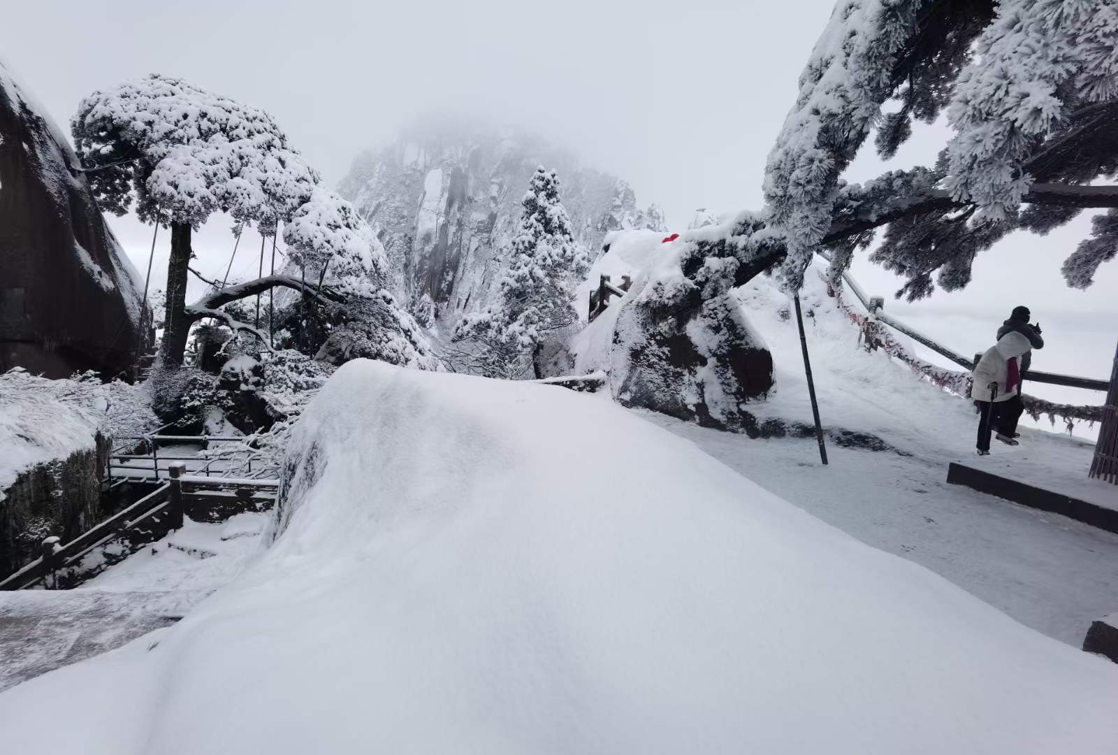 大雪美景图片大全图片