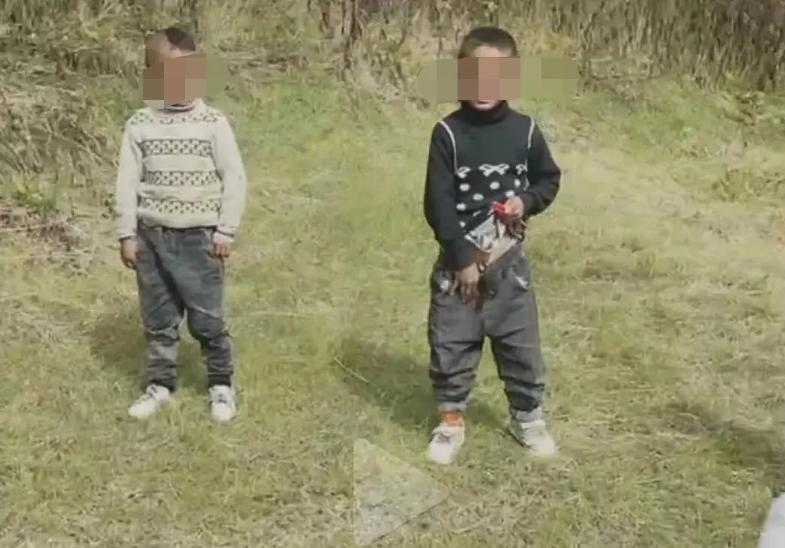 女网红直播被"当众扒裤"!众多男童嬉笑围观,这真的不是在培养罪犯?