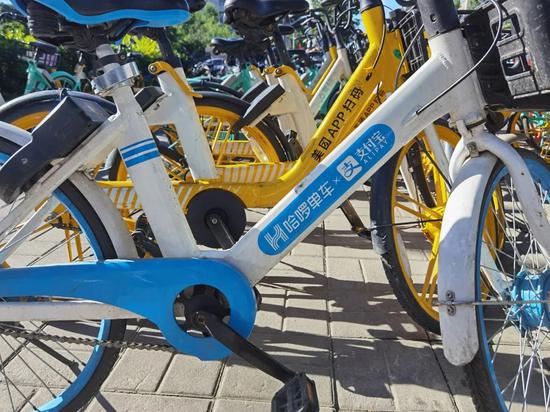 哈啰,青桔,美团等8家企业被要求整改!