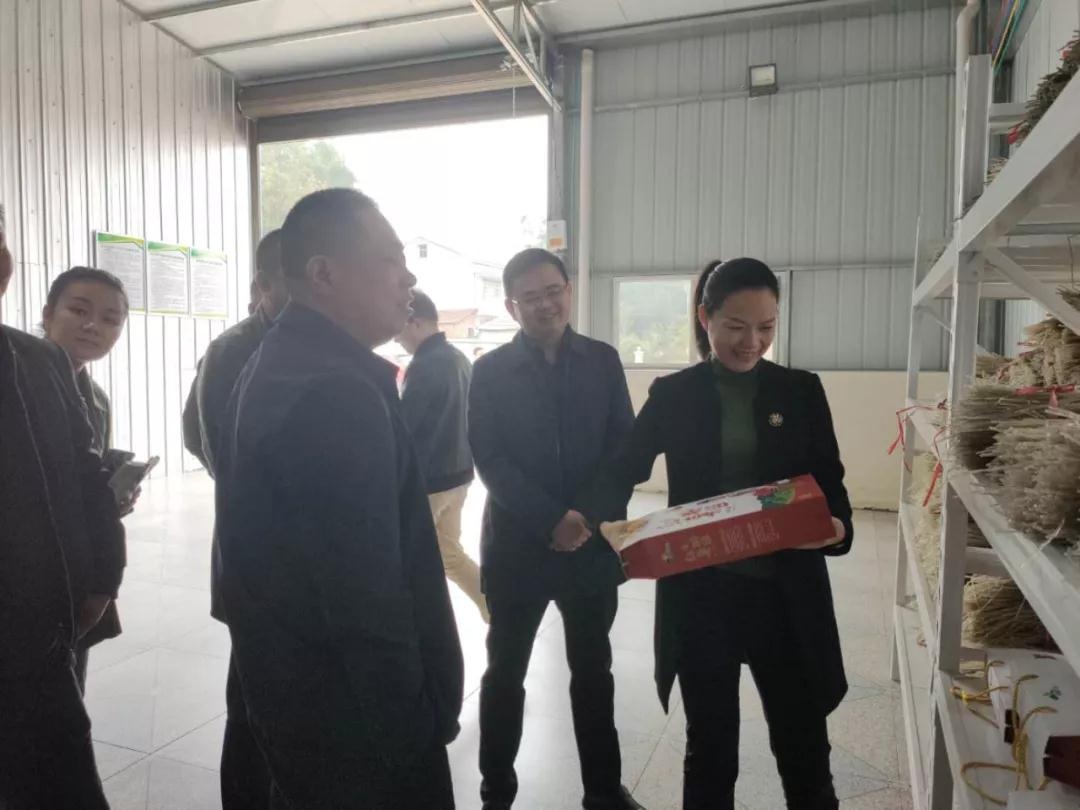 鼎城:李娟到许家桥乡,玉霞街道调研走访