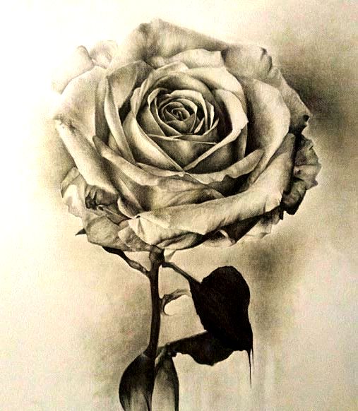 这些最难画的素描静物,你被虐了吗