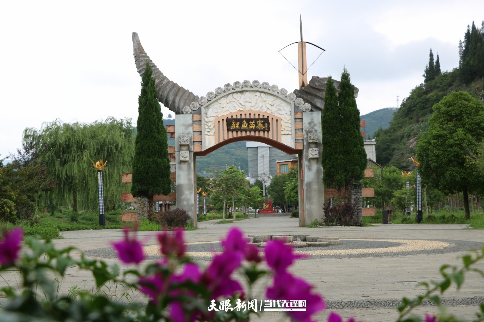 兴仁市鲤鱼村:鲤鱼苗寨好风光