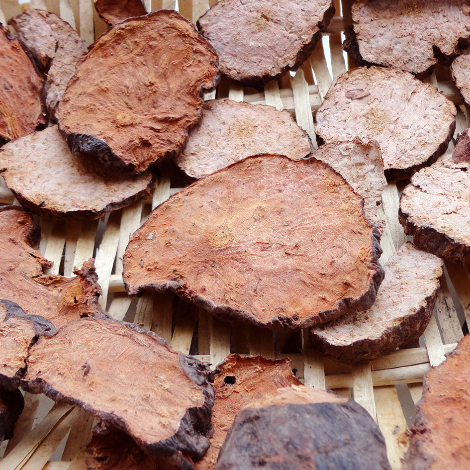 认识中国的植物之三十九——何首乌