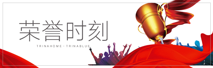 荣誉时刻 斩获双料大奖 天合富家惊艳亮相济南展