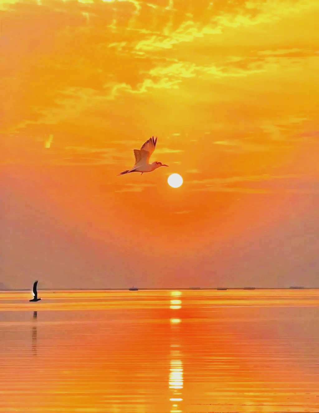 举目望去,这些小舟宛如镶嵌在一片金红色的画卷上,别有一番唯美意境