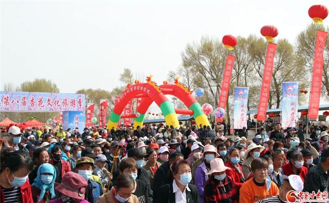 酒泉金佛寺杏花文化旅游季开幕