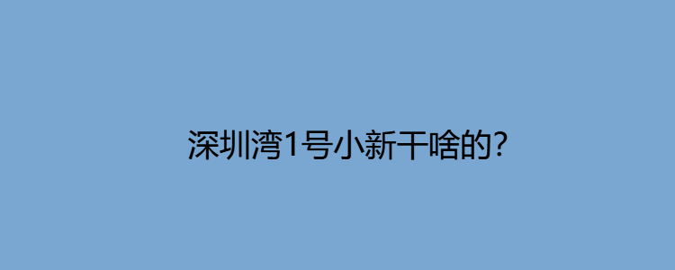 深圳湾1号小新干啥的?