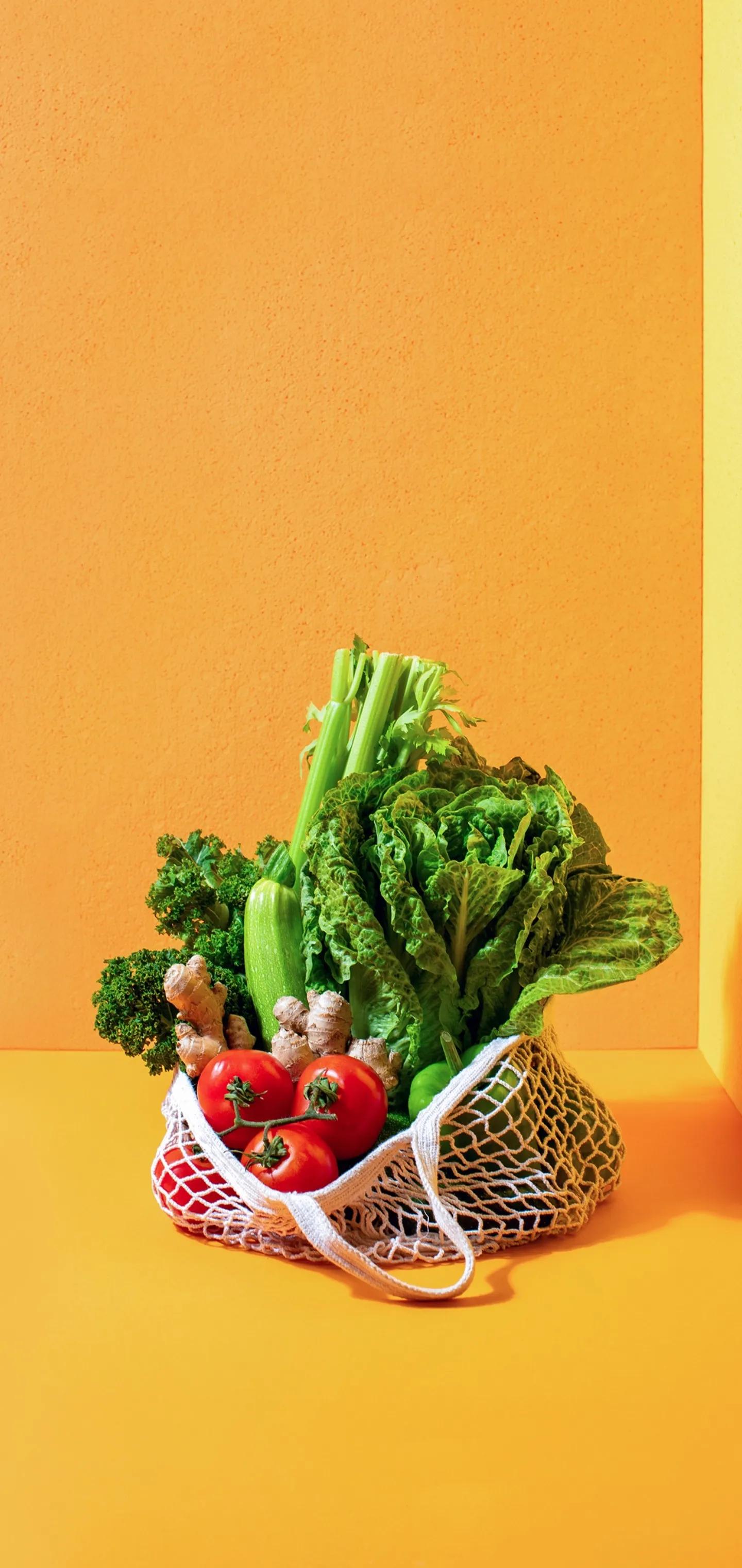 1440_3040竖版 竖屏