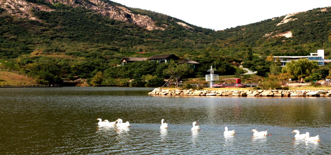 日照马陵水库:一泓清水带来的旅游集聚效应