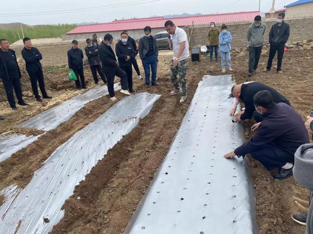 【聚焦】三山乡召开推动庭院经济中药材产业发展现场观摩会