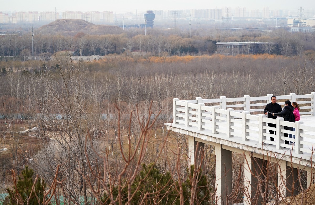 北京南苑湿地公园图片