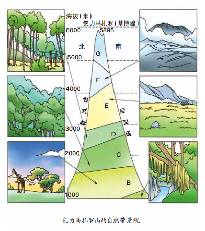 乞力马扎罗山垂直带谱图片