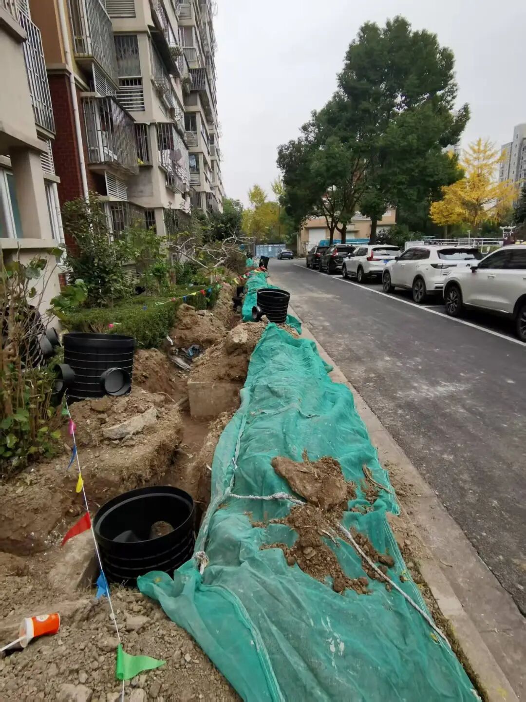 监测结果显示改造后河道排口晴天不再出水雨天水质波动明显减小cod