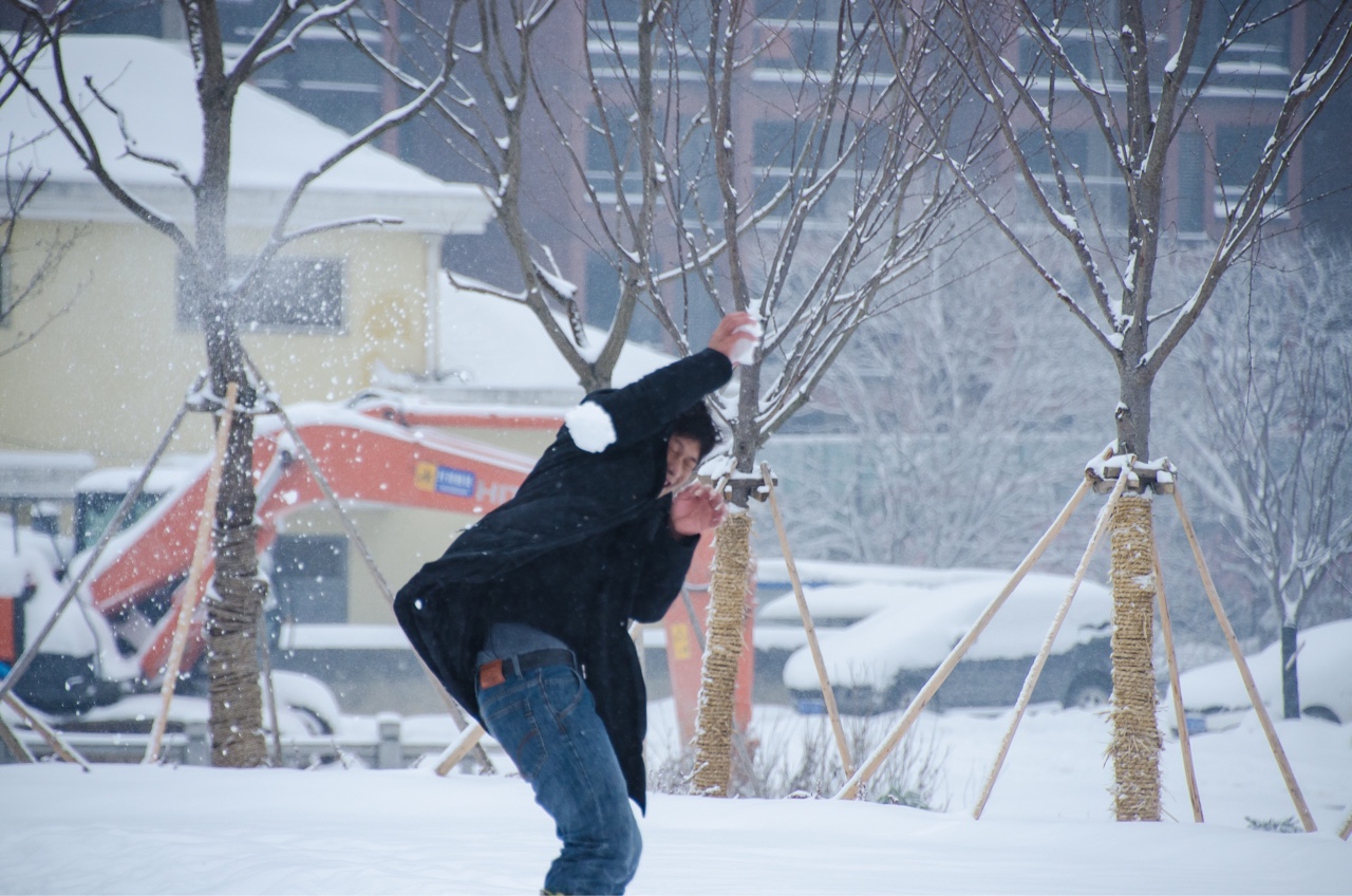 打雪仗 唯美图片