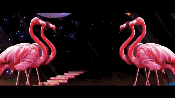 560_314gif 动态图 动图