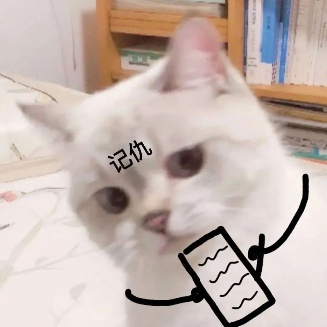 粉丝投稿|网红猫咪|猫咪臭娜娜表情包(十四)