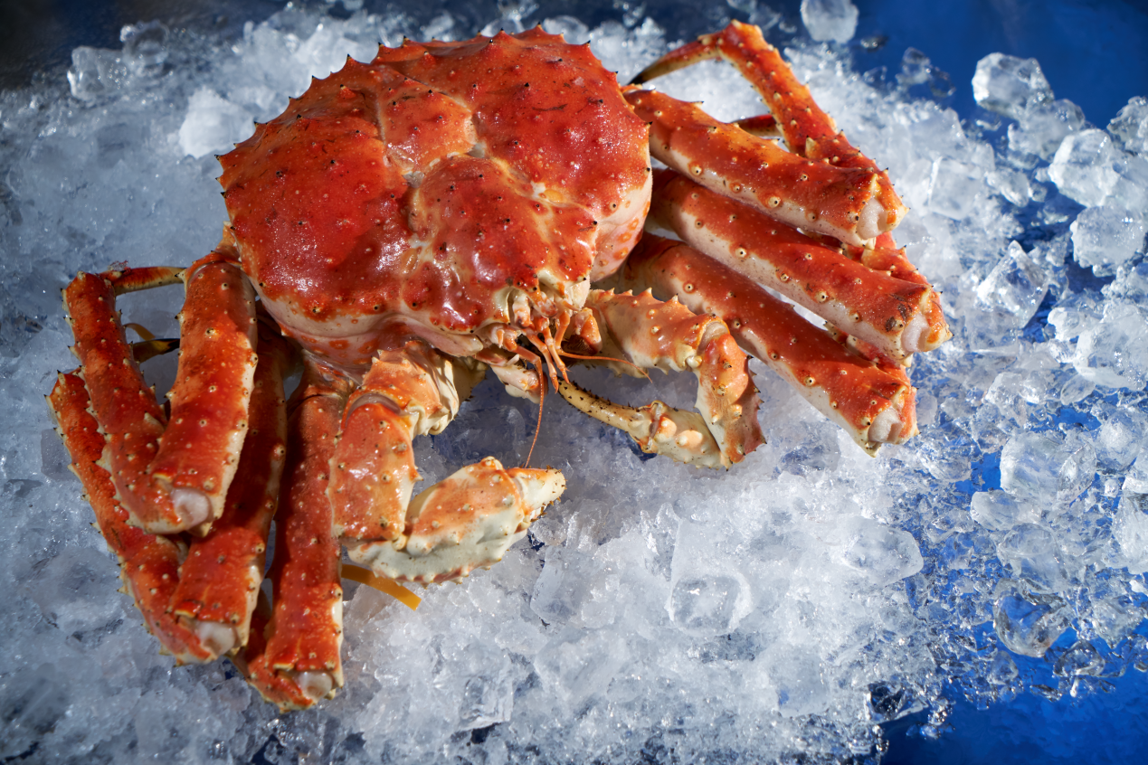 海鲜界的"黄金"食材——蟹中之王"帝王蟹"