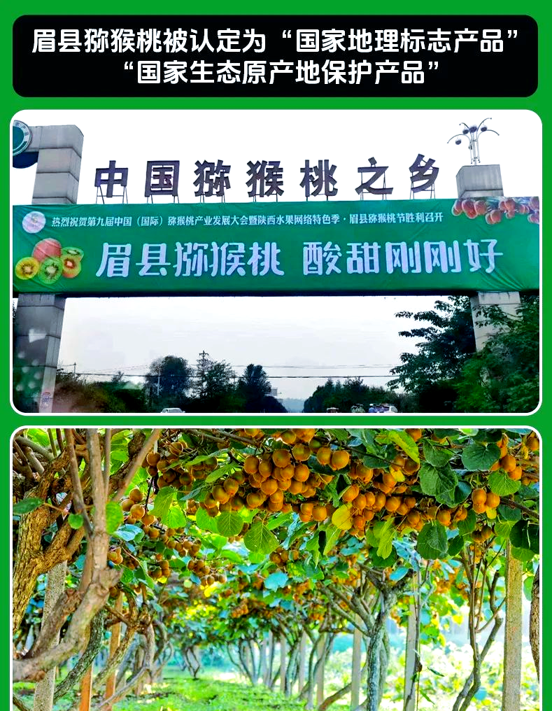 陕西眉县徐香猕猴桃:果中之王,品味自然之馈