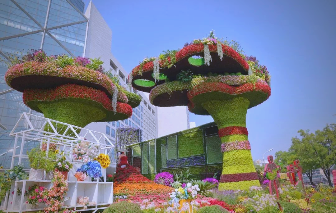 国庆庆祝活动:众多花卉布置方案亮相天安门广场及长安街沿线