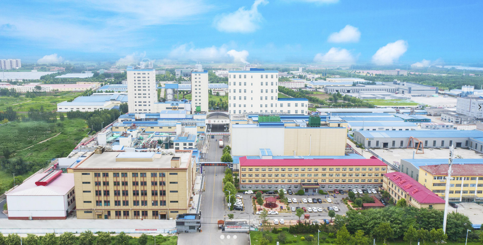 保健品行业重点公司情况之:百龙创园