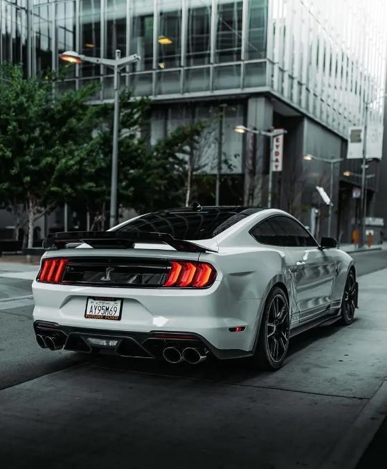 福特野马·谢尔比gt500|帅不帅看图说话