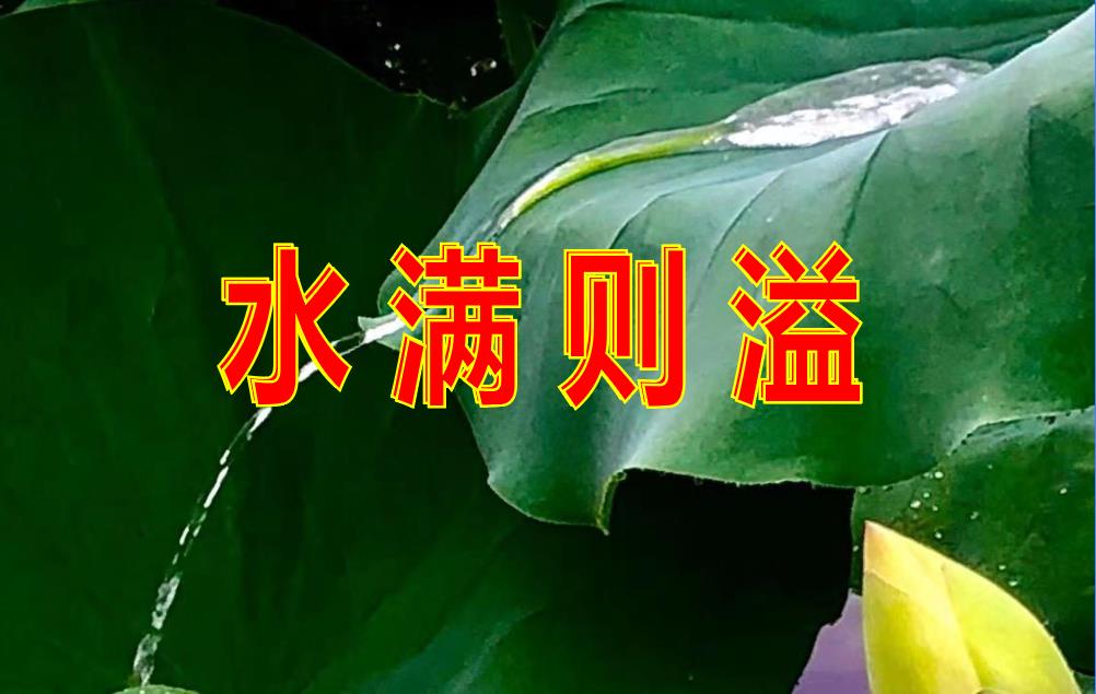 20,水满则溢—《道德经》