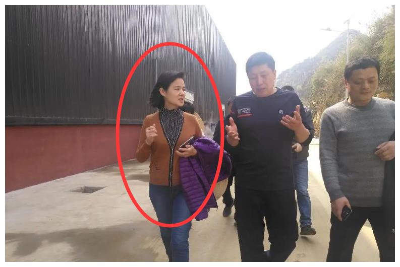 雷文蓉被处分——反贪败败是硬道理