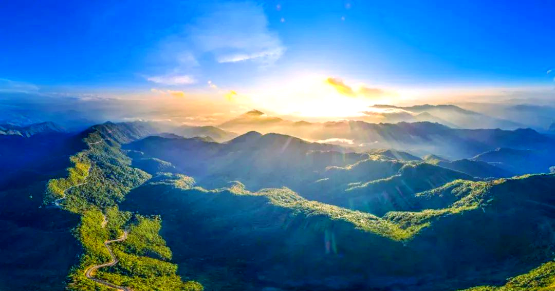 文山最好的网络平台?