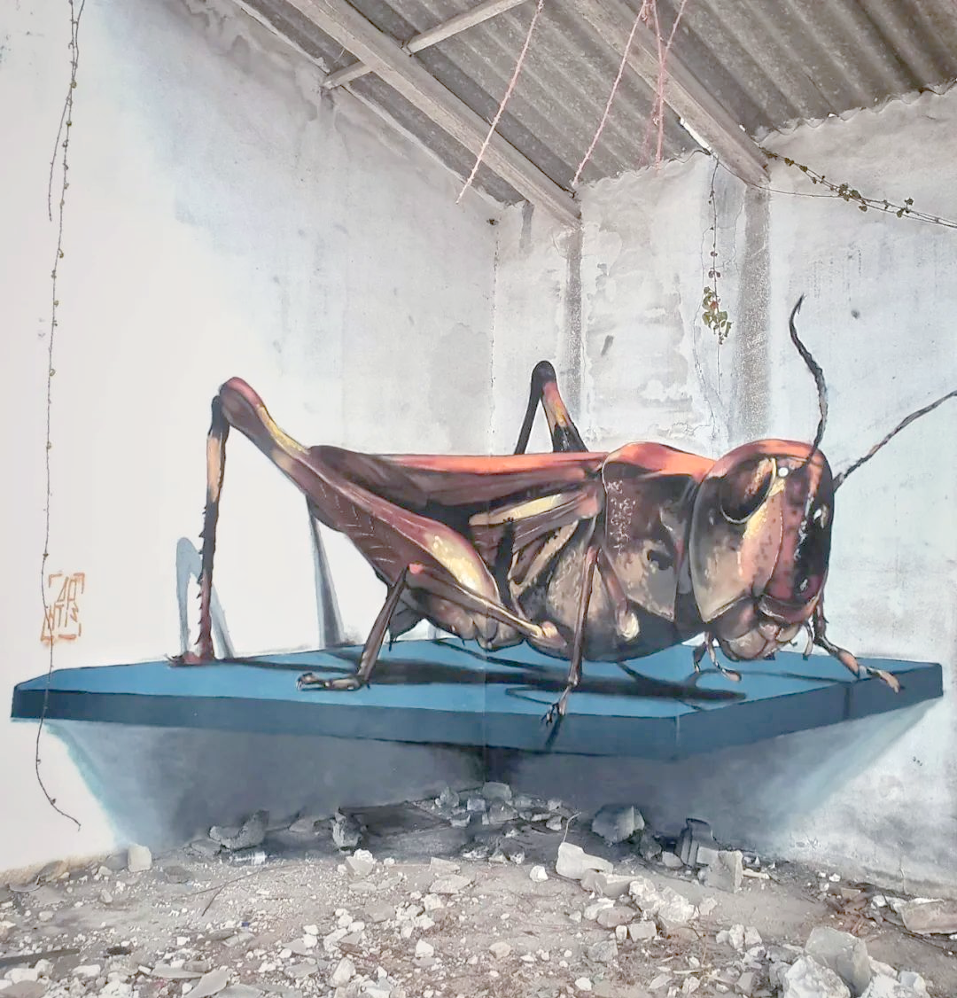 惊险!墙上惊现超大蟑螂壁画,让人直呼太逼真了