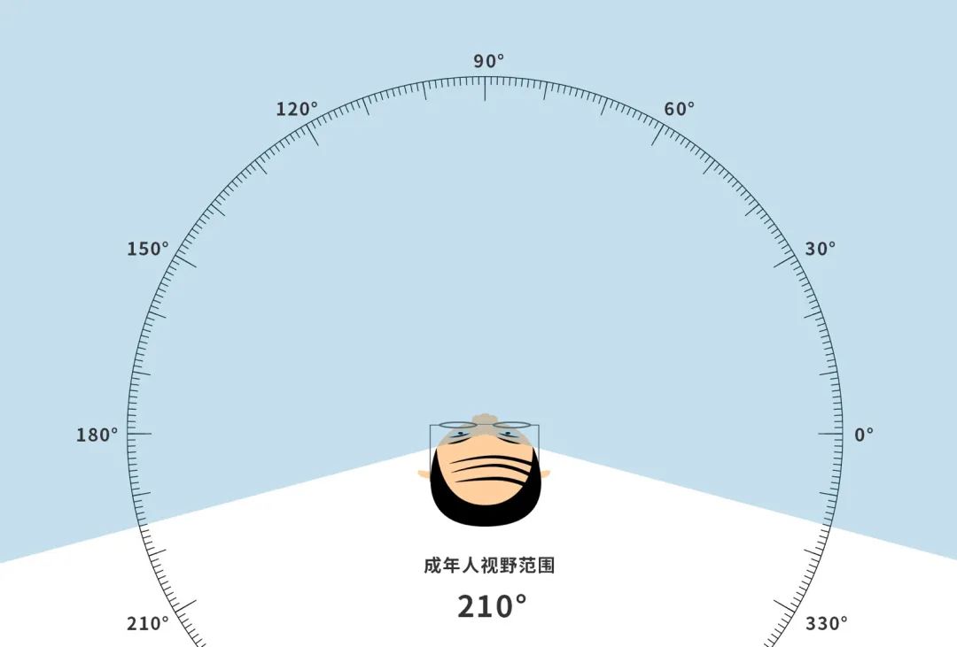 成年人视角夹角示意图