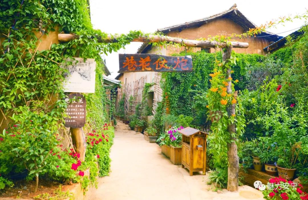 安宁乡村旅游推荐:花巷雁塔,找寻你的别样印记