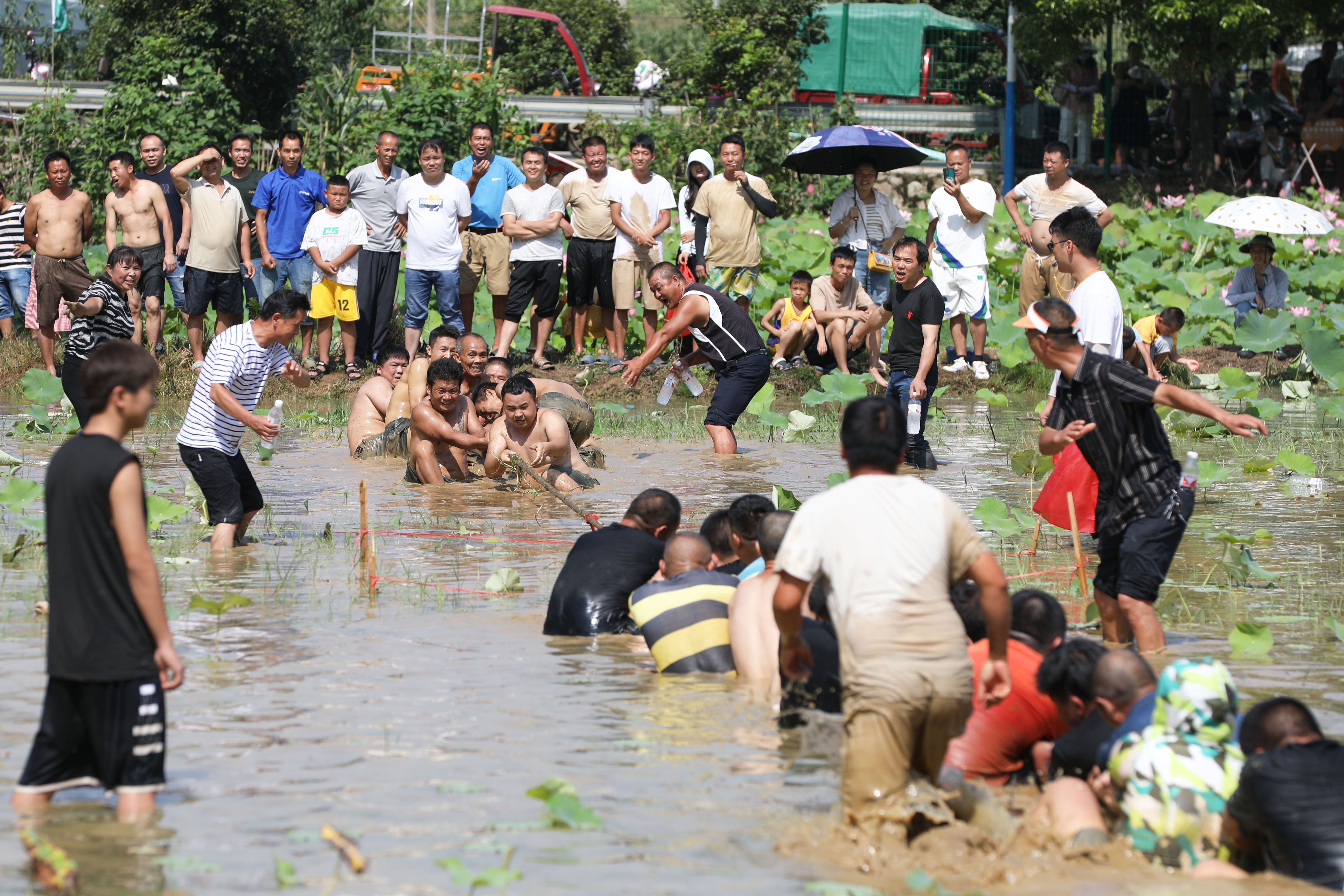 贵州岑巩:"抓鱼抢鸭"乐趣多