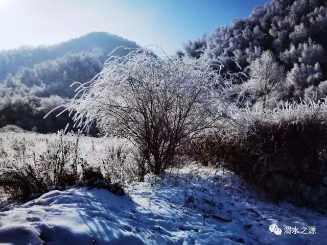 冬季到渭源,除了赏雪滑雪还有许多让你心动的理由!