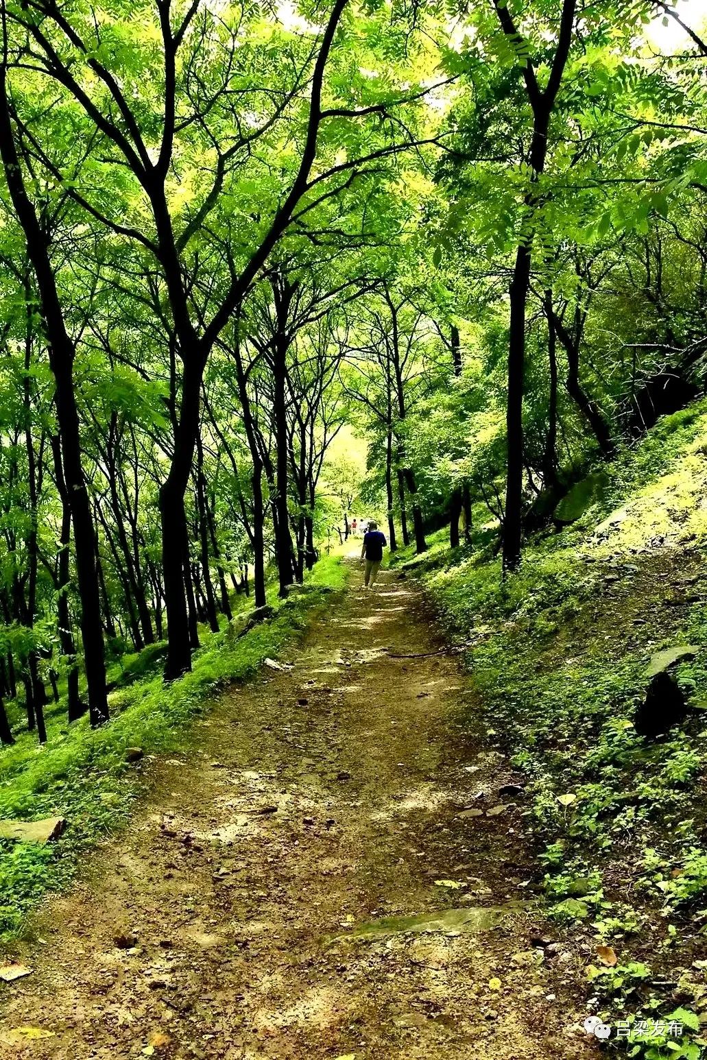 交口云梦山风景区图片